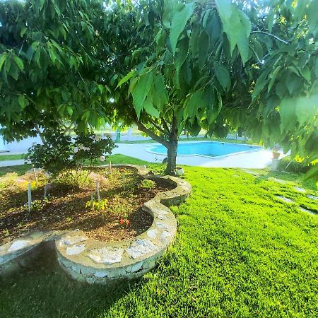 Kaja House Apartments لازوفاك المظهر الخارجي الصورة