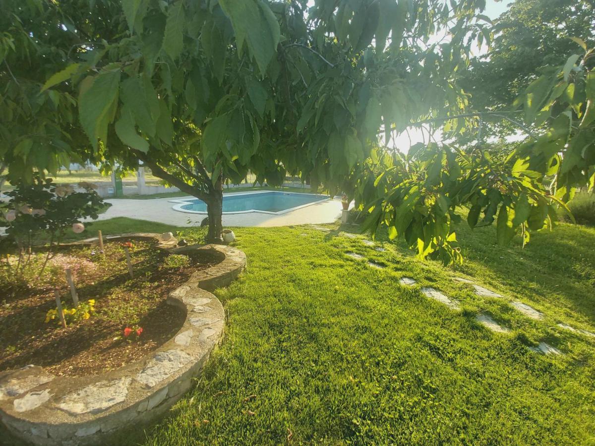 Kaja House Apartments لازوفاك المظهر الخارجي الصورة