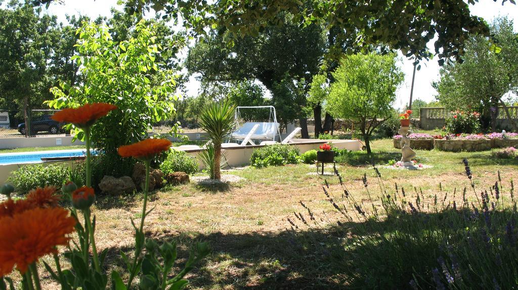 Kaja House Apartments لازوفاك المظهر الخارجي الصورة
