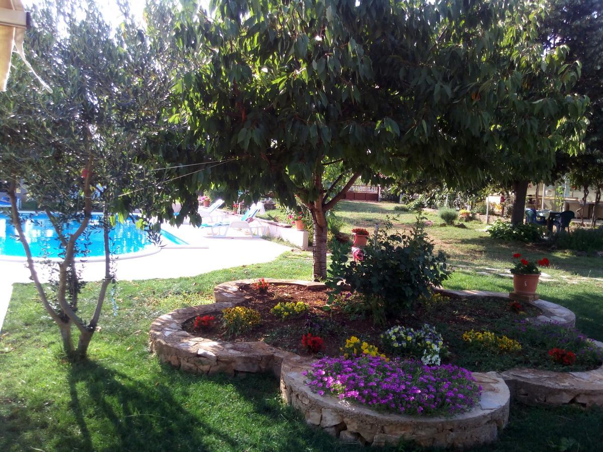 Kaja House Apartments لازوفاك المظهر الخارجي الصورة